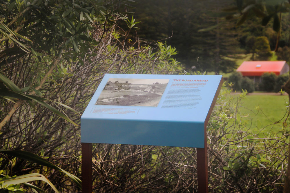 IMG_4350-copy-Recovered