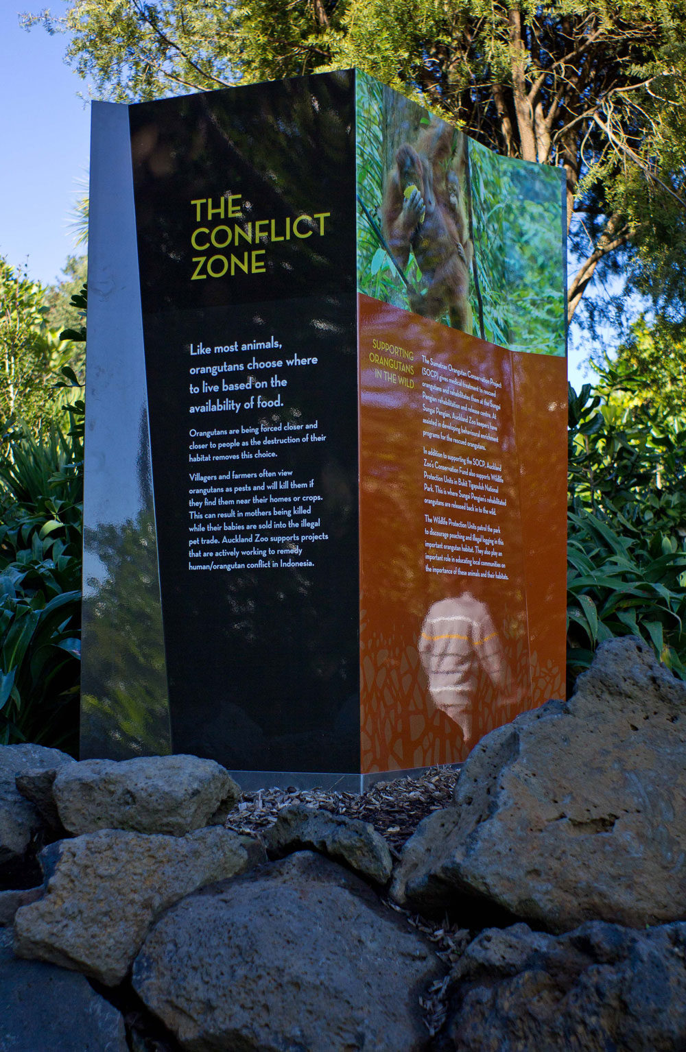 Zoo interpretation The Letter Q