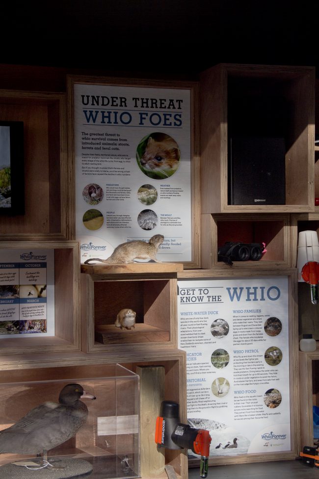 13837044893_00de5a8bb5_o