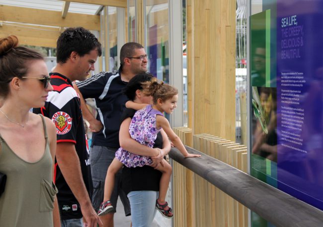 the-letter-q-hobsonville-wharf-design